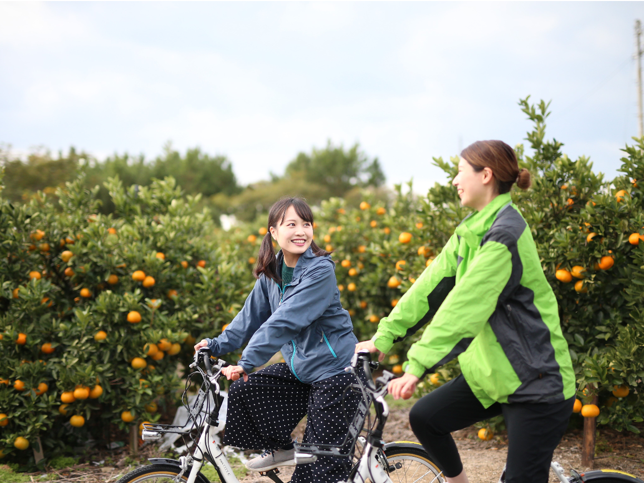 {݂̂̓EiȂ܁jŃTCNǑI