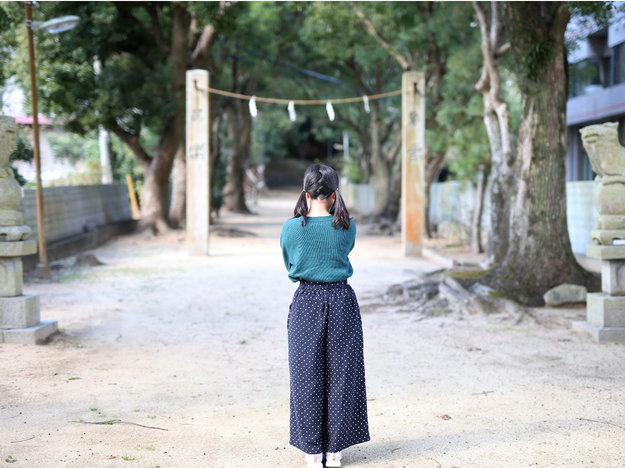 TCNO̔閧̊蓹X|bǵu{v