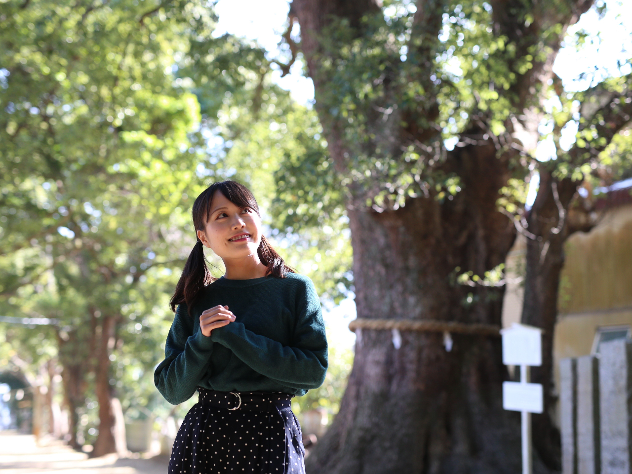 閧̊蓹X|bg͐_Iȏꏊ