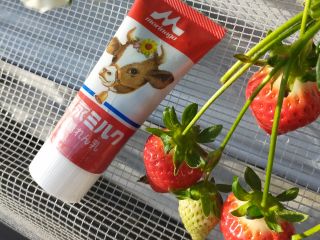 練乳も1本300円(税込み)で販売中!!