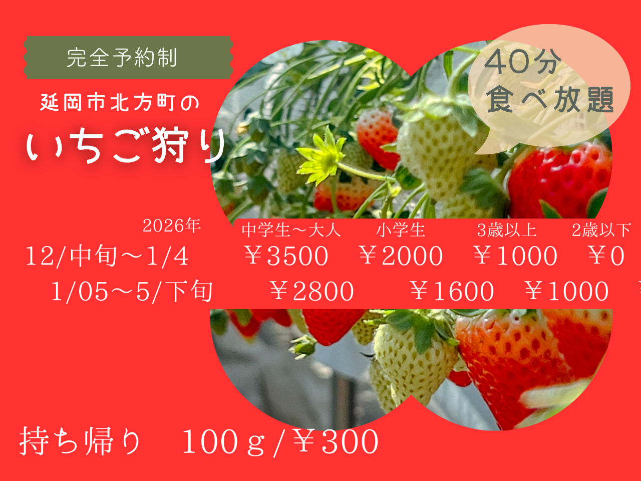 宮崎・延岡】2026年いちご40分食べ放題+200円クーポン付き♪ 体験中
