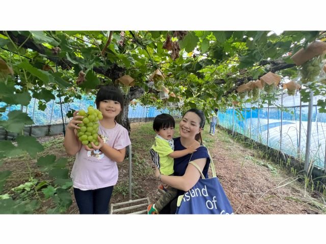 �������傫�ȃu�h�E�A�Ƃꂽ��[�B