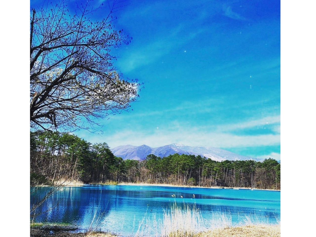 ܐF@lG킸y݂鎩R܂