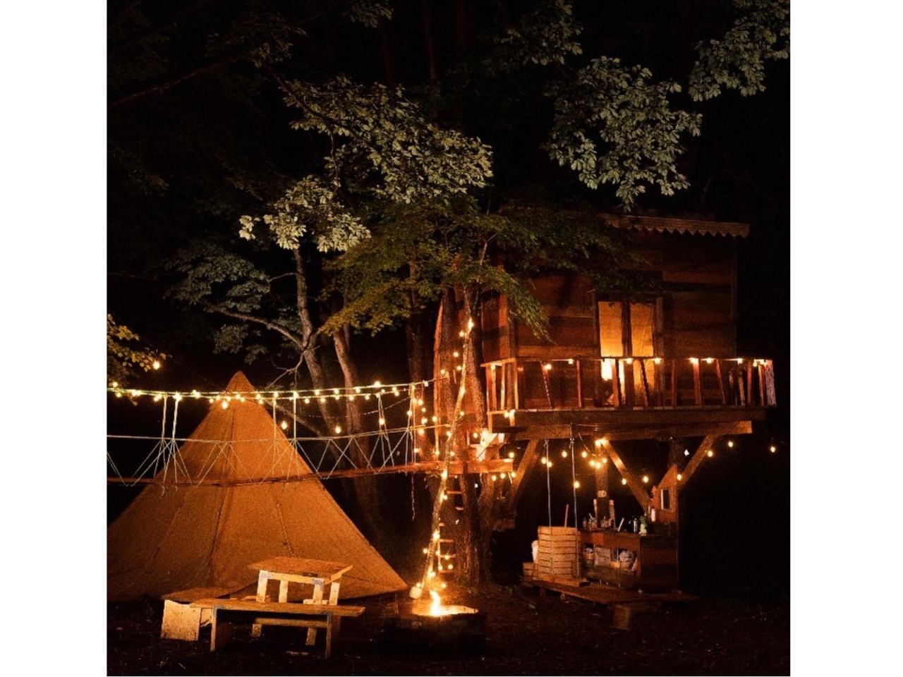 TREEHOUSE INAWASHIRO HILO@hvɂĂ͂Cyɂ₢킹B