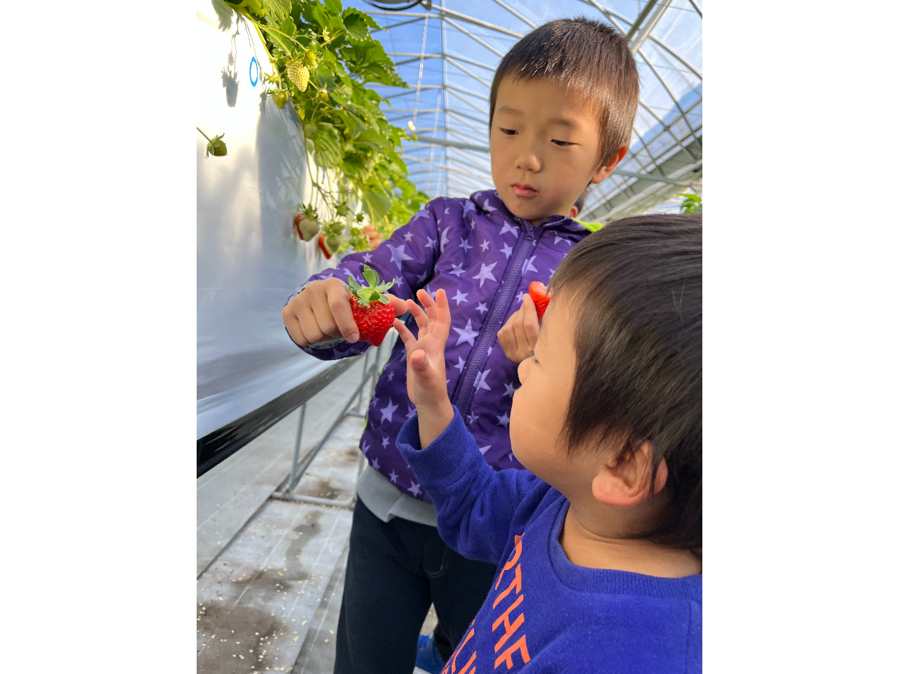 ������Ɠ͂��Ȃ��Ă��Z�풇�ǂ��H�ׂ�܂��I