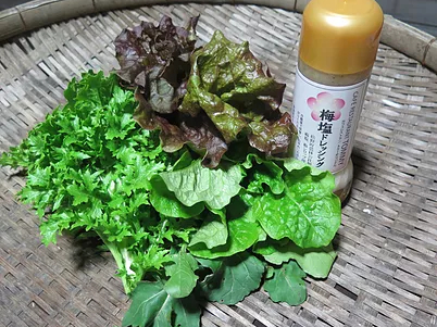 쒬̔~ghbVOB؂ɂɂQłII