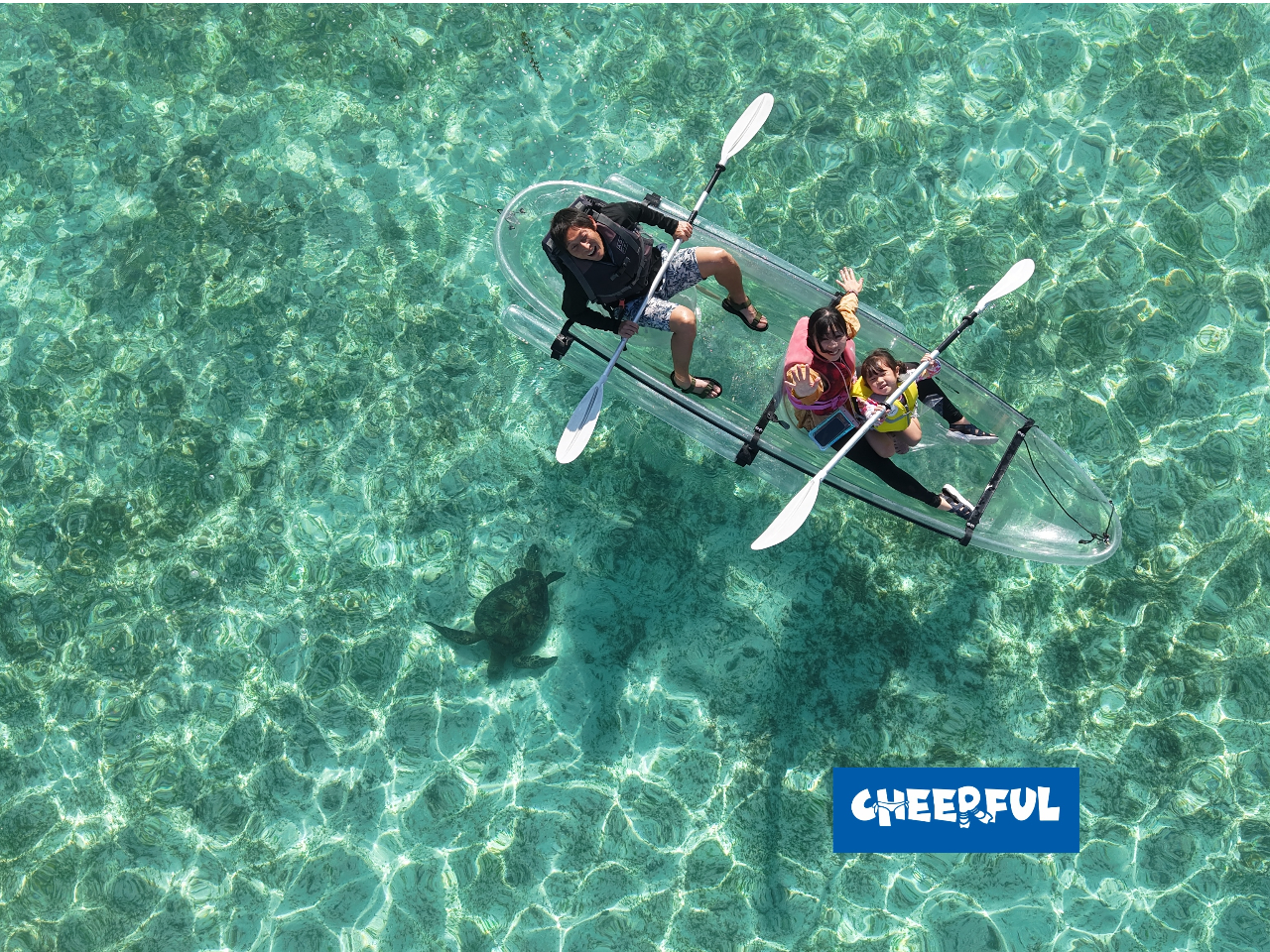 ���̋߂��ŃE�~�K����������̂́A�ō����ґ��