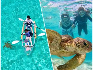 シュノーケリング体験付きのウミガメ満喫セットプラン♪