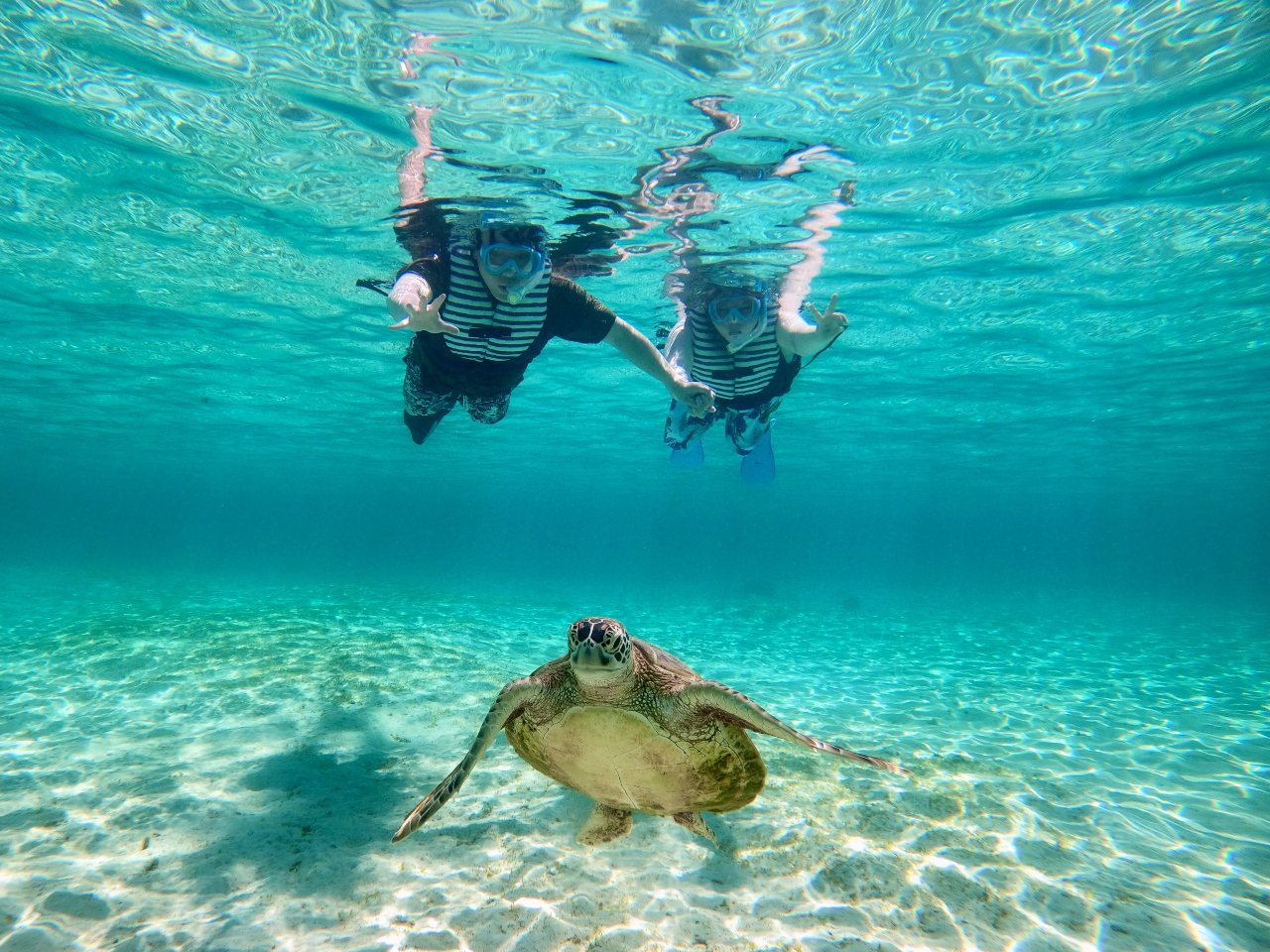 Vm[PÓAGoProł̎Bet􃌃^܂I