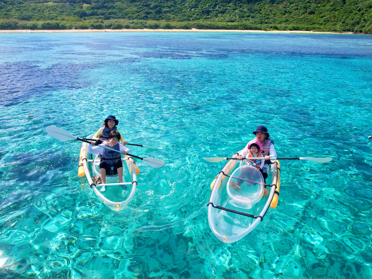 NAJbNƋ{Ó̊C͂ƂĂh[f܂