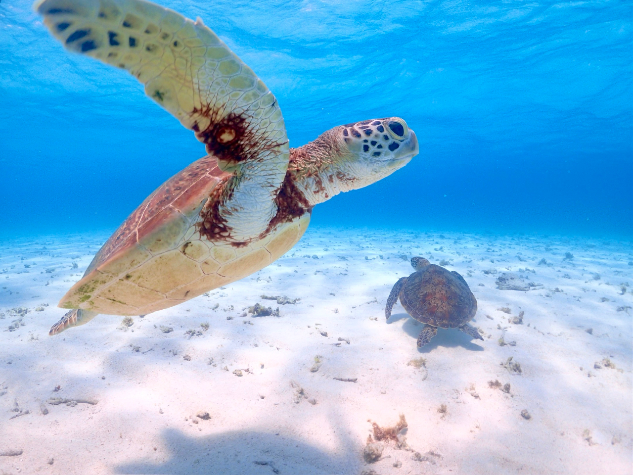 E~K 99.9̃r[`Vm[POŌ܂聙