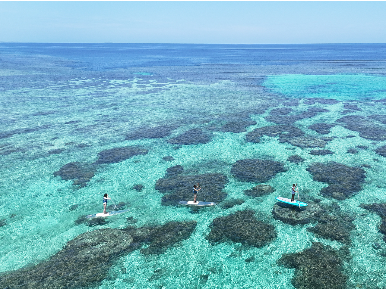 �h���[���B�e�����v���[���g��