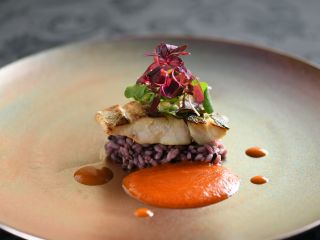 そのときどきで美味しい旬の食材を活かしたコースをご用意