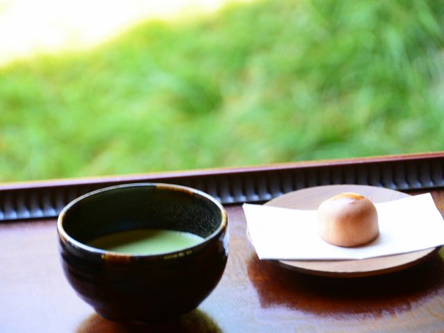 掬月亭での抹茶一服で癒しをひと時をどうぞ