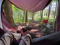 軽井沢駅周辺の動物カフェランキングtop1 じゃらんnet 軽井沢駅周辺の動物カフェランキングtop1 じゃらんnet