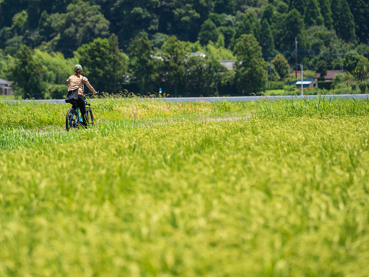 �c�����i���L����r�򒬂��̂�т�T�C�N�����O