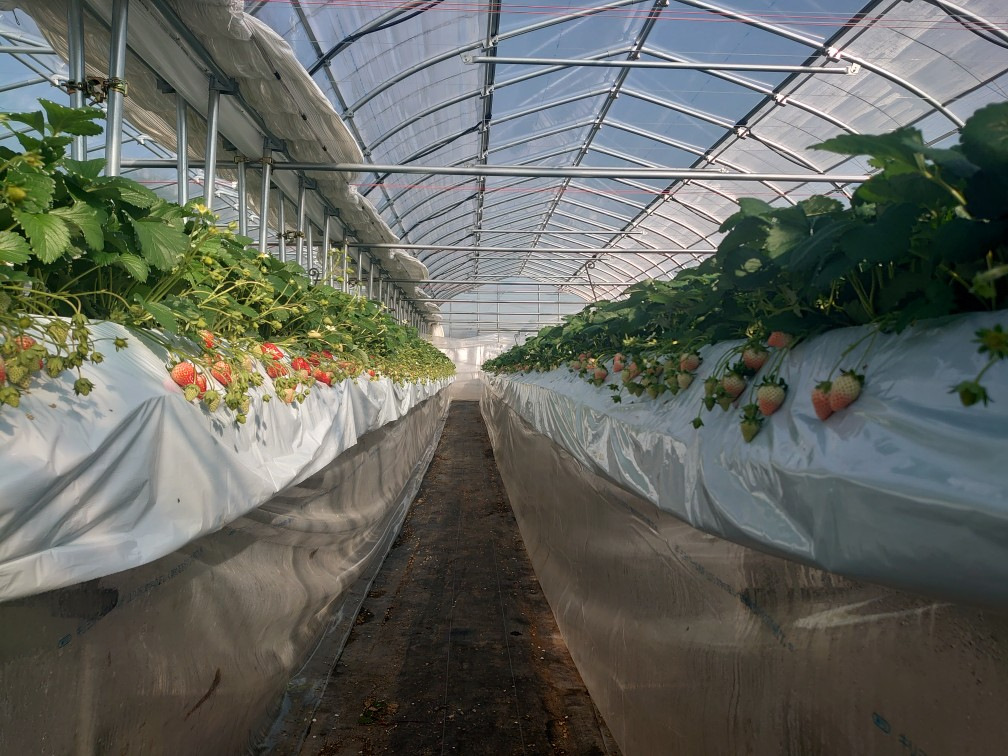 �ʘH���Ƃɕi��̈قȂ邢�������A�����Ă��܂��B�ő�8�i��̐H�ה�ׂ̏ꍇ���B�@�@���C�ɓ���̕i����������Ă݂Ă͂ǂ��ł����B