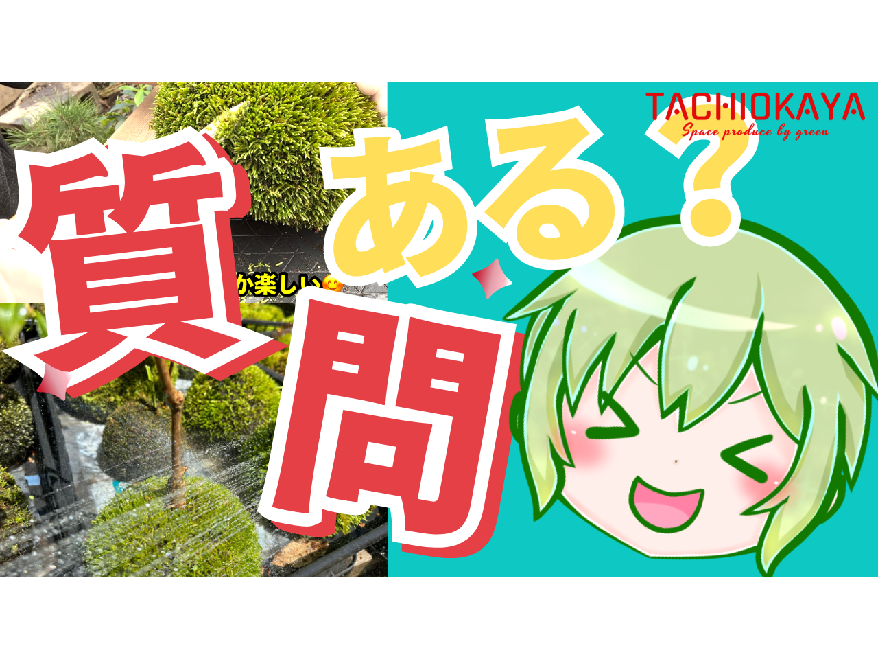 YoutubeLivecCLXł̌̎ɂĂ܂I