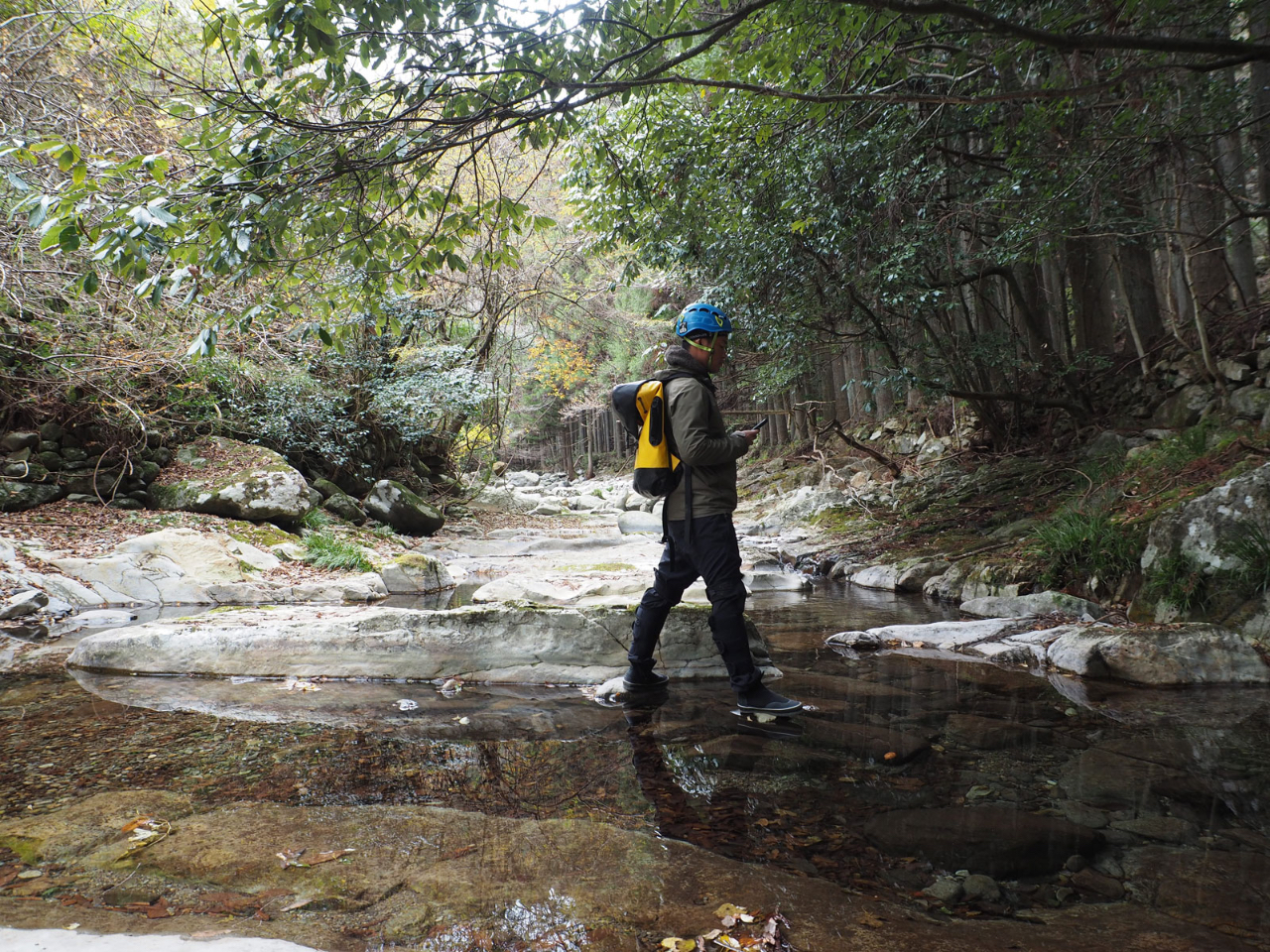 �啪�A�E�g�h�A�c�A�[�ق��̂��˂̎ʐ^2