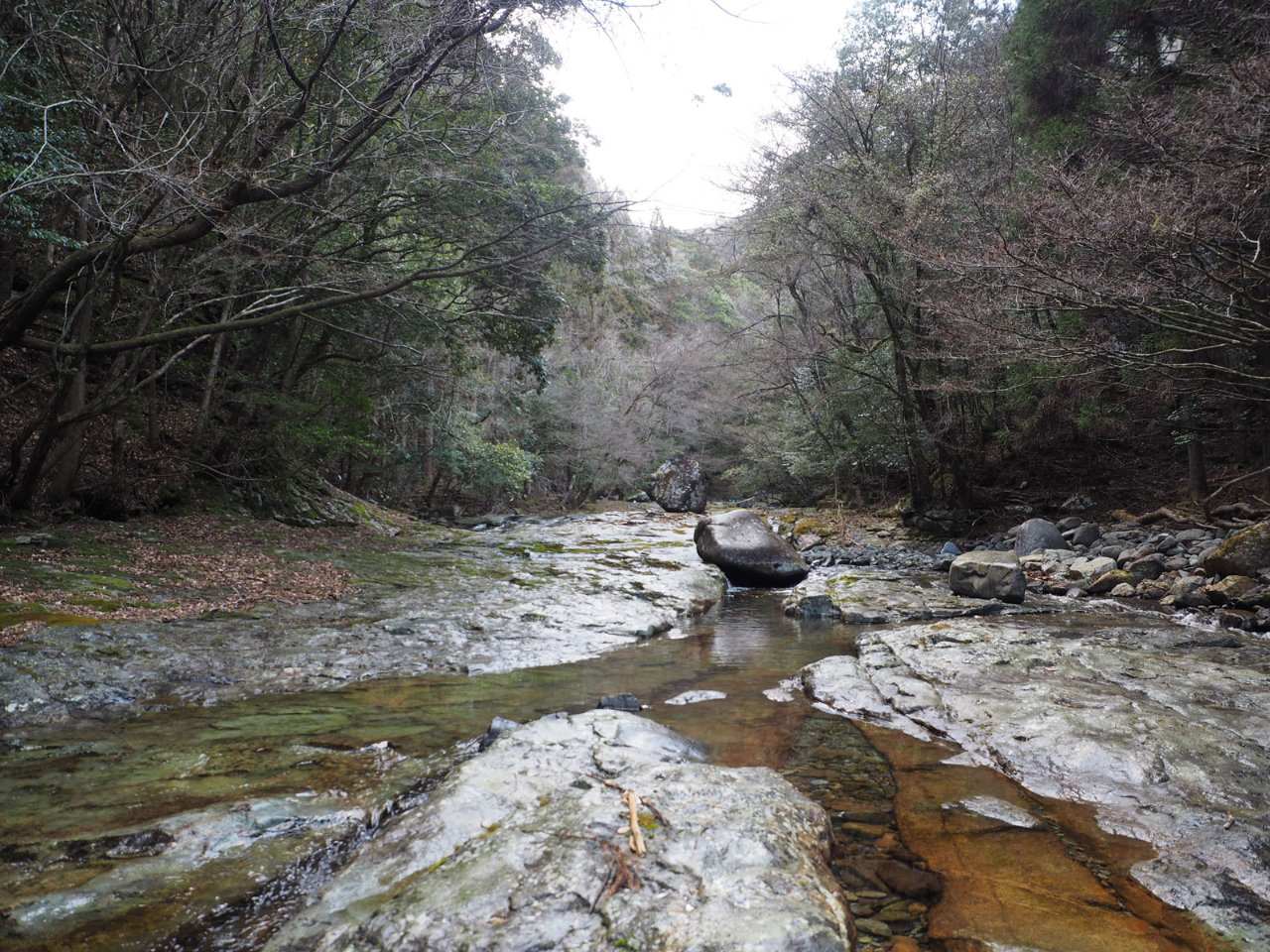 �啪�A�E�g�h�A�c�A�[�ق��̂��˂̎ʐ^4