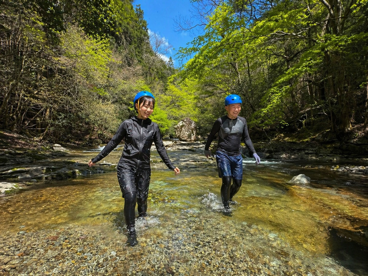 �啪�A�E�g�h�A�c�A�[�ق��̂��˂̎ʐ^1