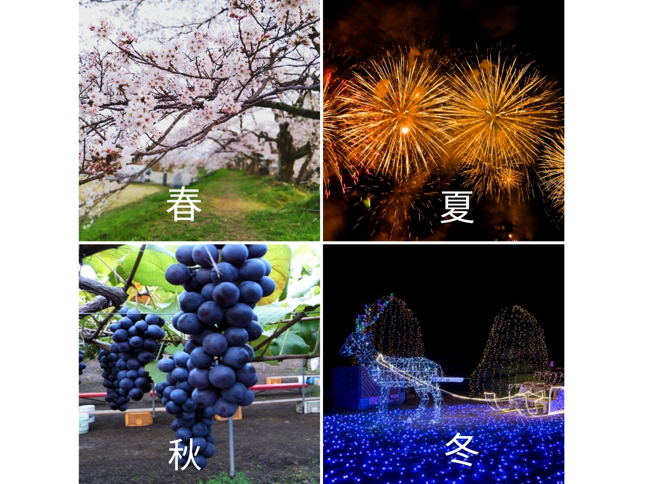 �l�G�̎v���o�������