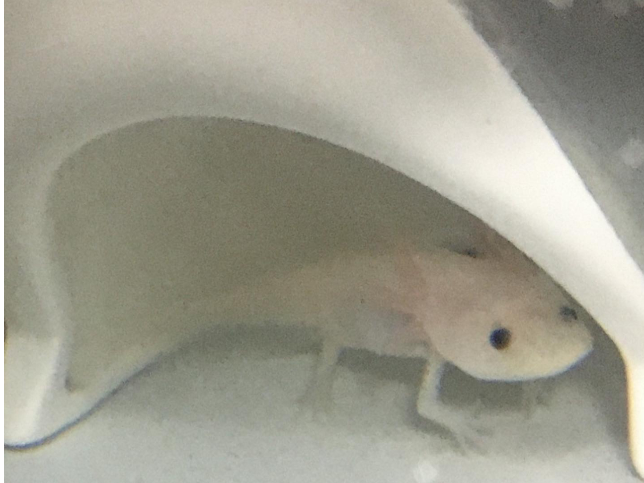 ybg̃E[p[[p[@ہ@݂͂ĉˁIł30Z`炢I