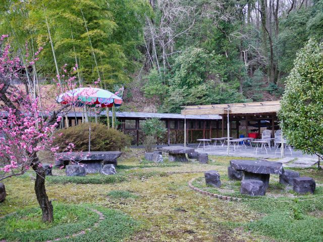 自然に囲まれたBBQを大自然の中で楽しもう♪
