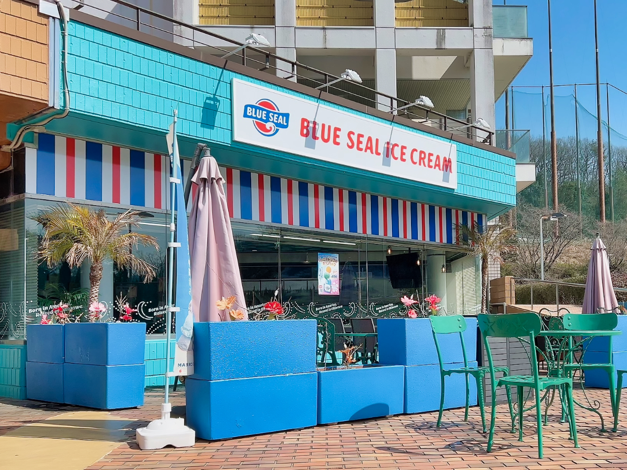 ze~nɓɉꔭˁyu[V[ACXzH̃fU[gɁ