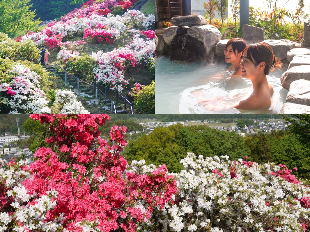 ֓w̃ccW̖Iܑ呸Ղi4/19`5/6jܑ呸ɂ͎300N𒴂Ö؂A121̃ccW炫ق܂B