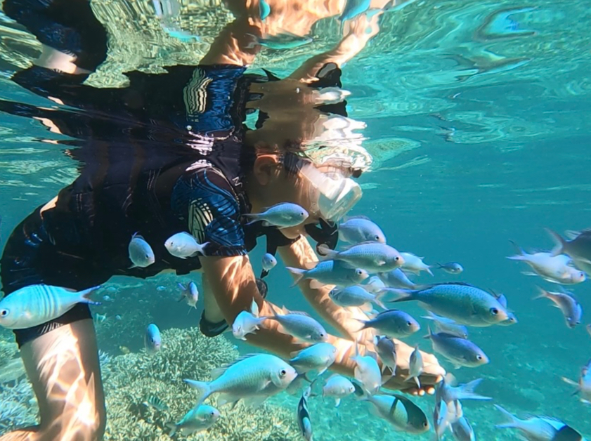 �a���̌��������܂���