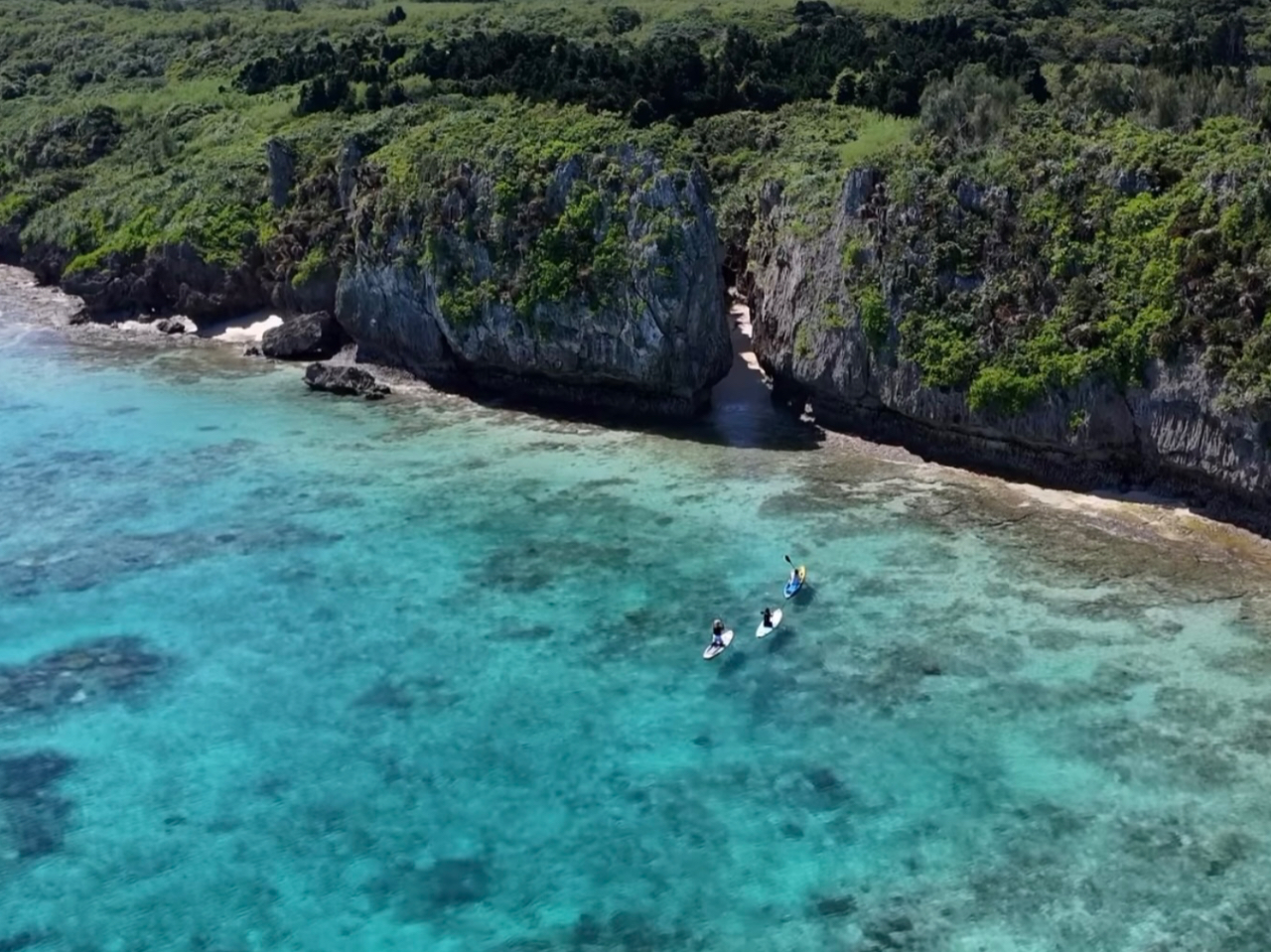 秘境の神秘！備瀬のワルミツアー（1,5h）】カヤックでパワースポットに