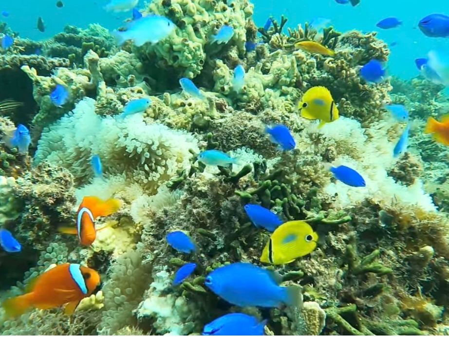 FN₩Ȃƈꏏɉj܂傤I