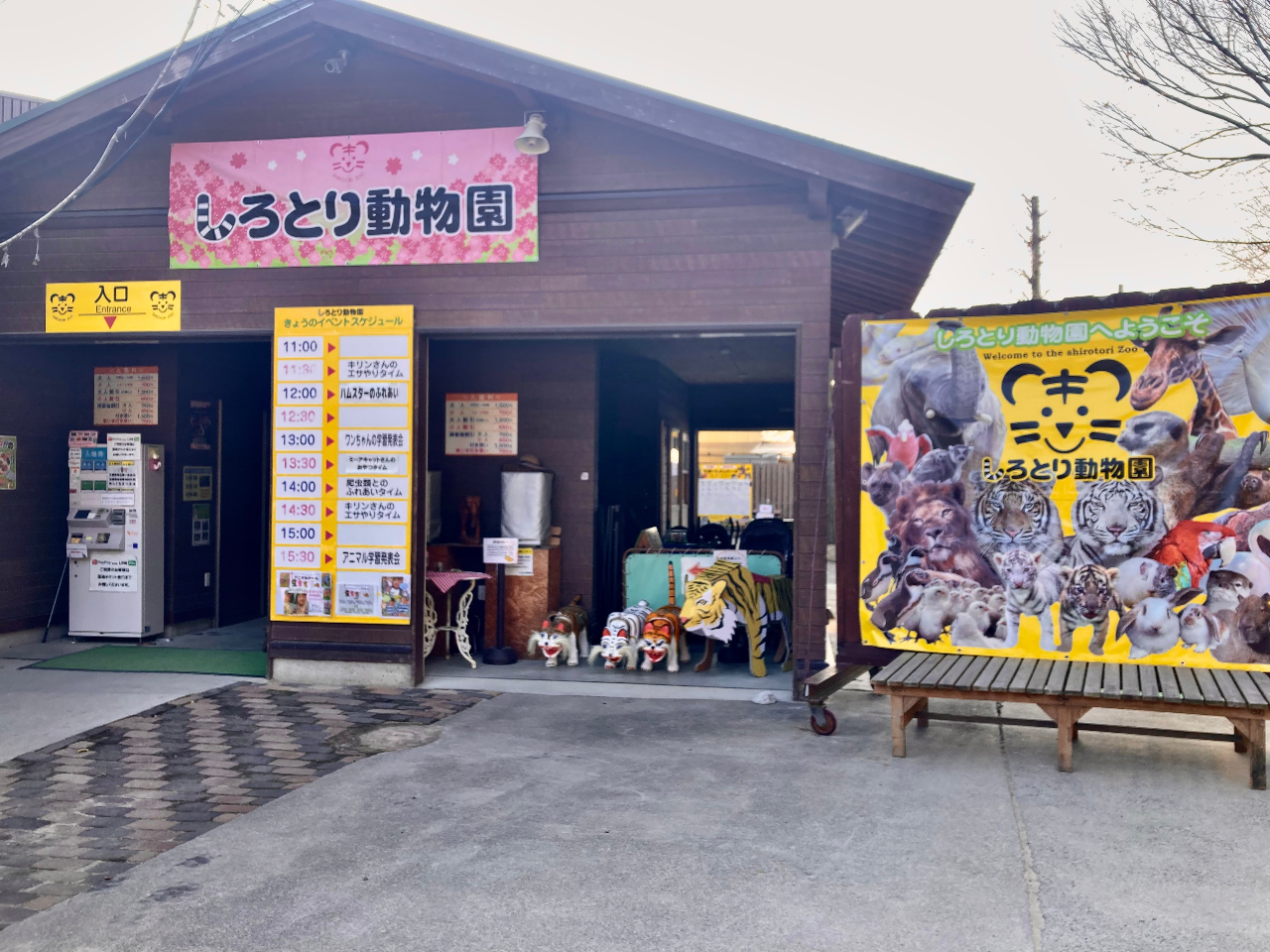 春のナイトZOO専用チケット☆／4/11(土)18(土)限定◇自由すぎる動物園 