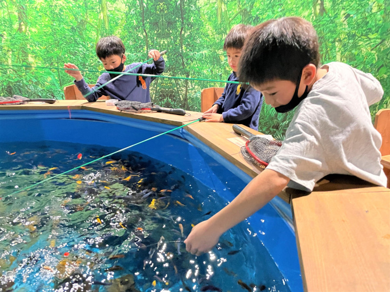 平日プラン【思いっきり遊べる！】ぼうけんの国バラエティパック♪　色とりどりの魚に...