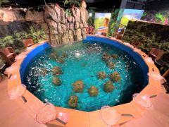 屋内施設なので雨でも遊べる!猛暑でも寒くても大丈夫!