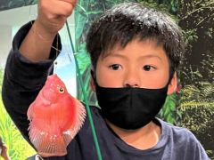 初めて見るカラフルなお魚がたくさん!