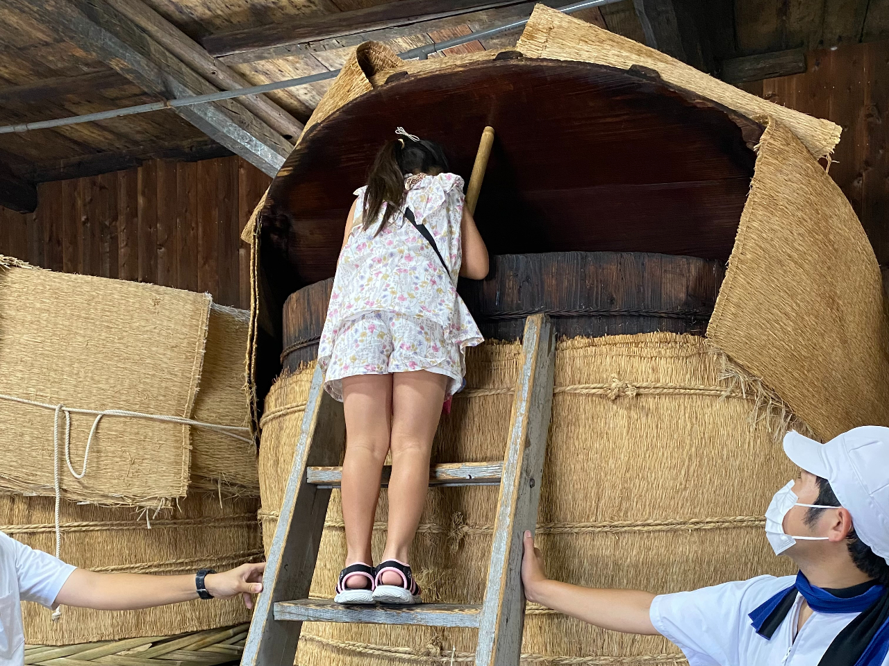 お子様の自由研究にぴったり♪