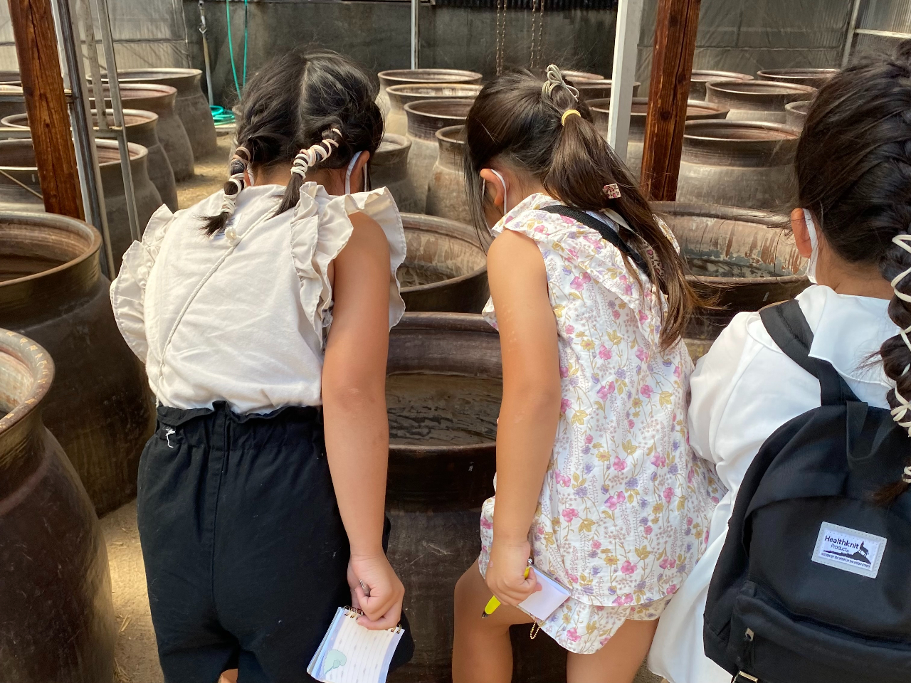 ]ˎォ瑱P̂Ȃ̂Ă݂悤