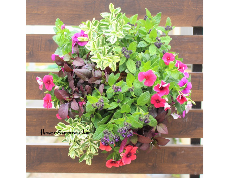 ]̐F̂́Ao育]ɓY悤ȂԂłpӂ܂̂ő]܂ł`BG߂ɂ育]ɓYȂꍇ܂B