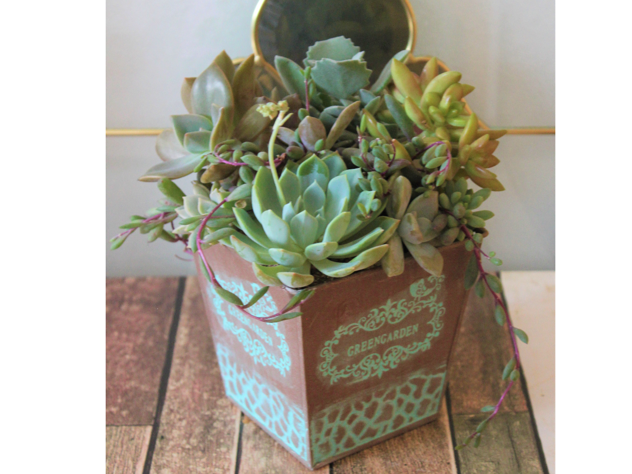 鉢は2〜3種類の中から選べます。