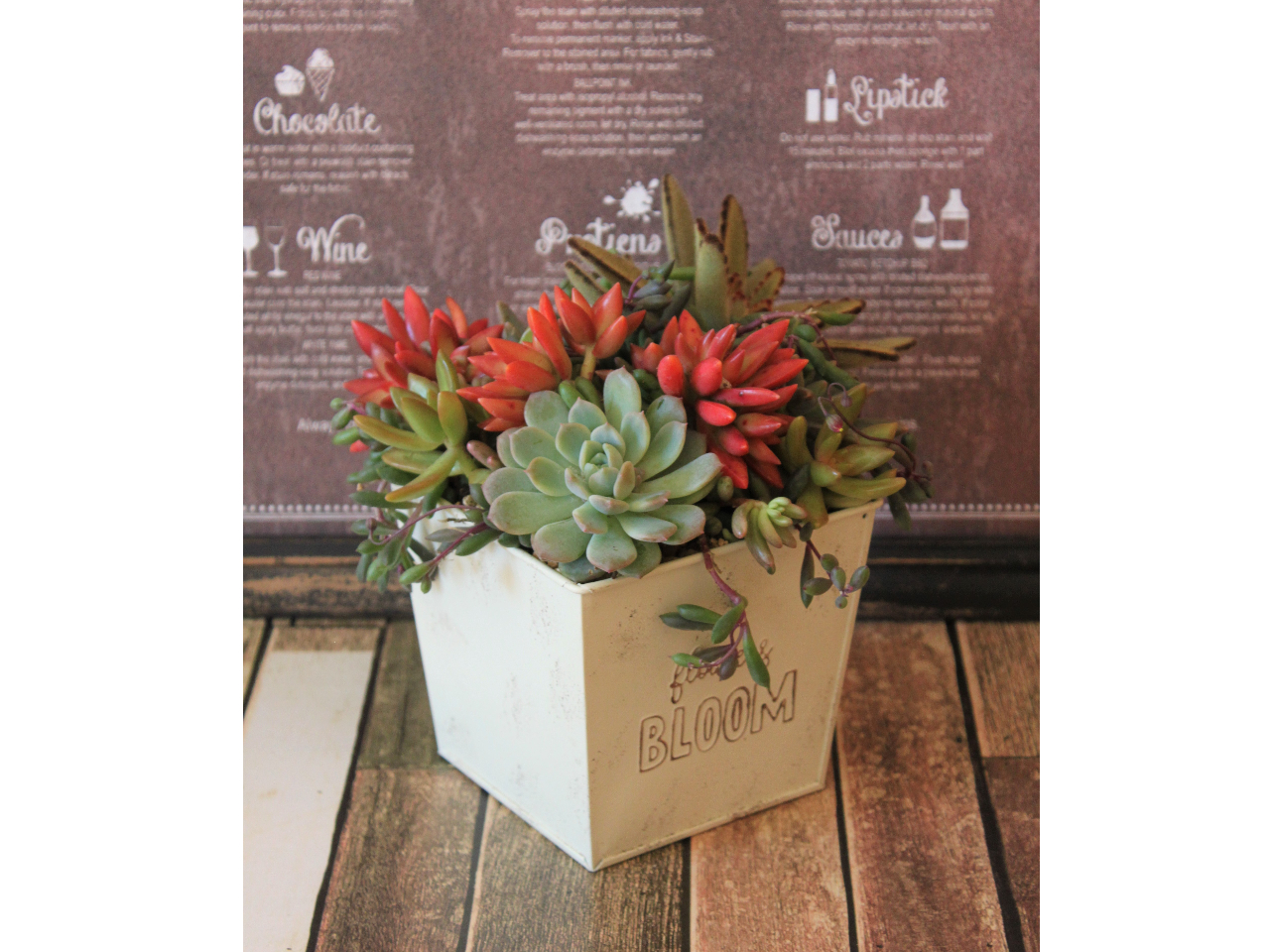 G߂ɂFN₩ŉA񂹐Aɂ܂B