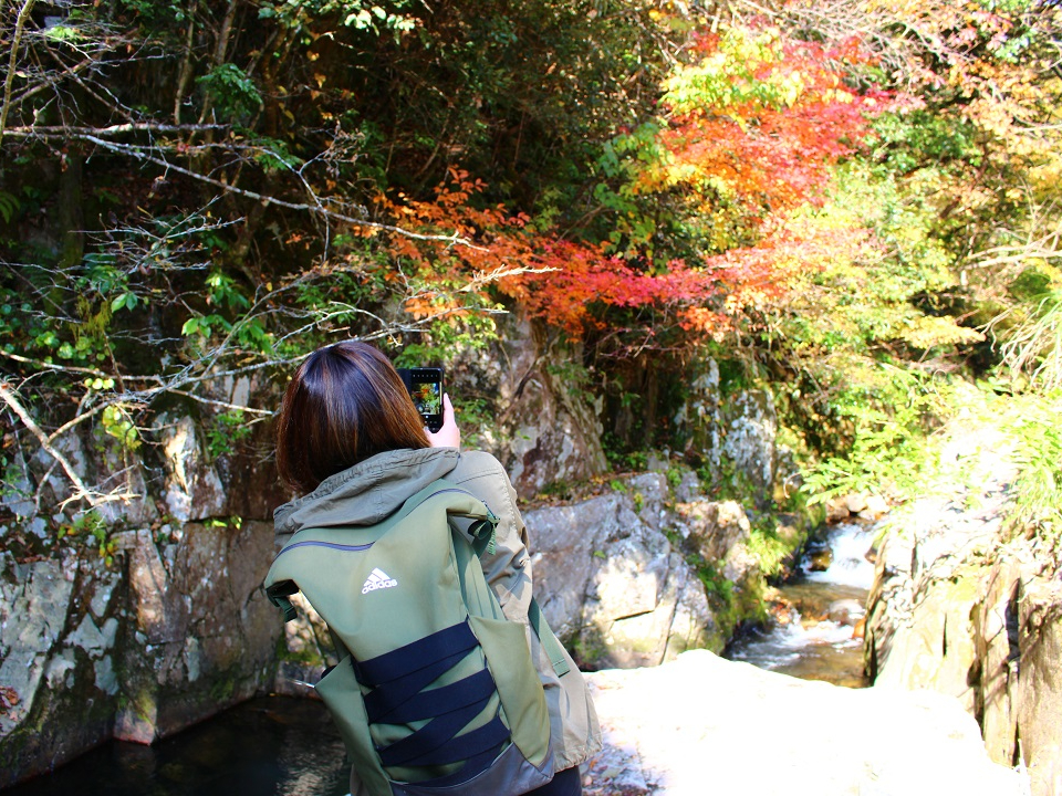 Vʐ^X|bg𔭌邱Ƃ܂I