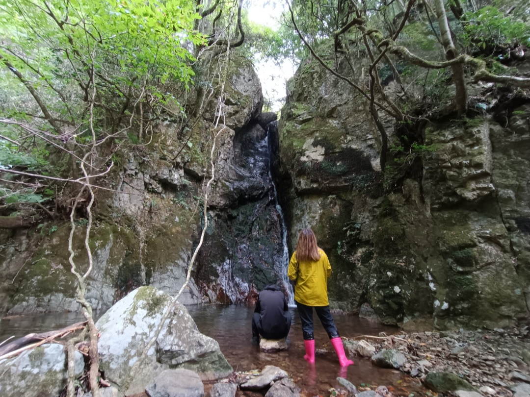 岩井谷川にある滝