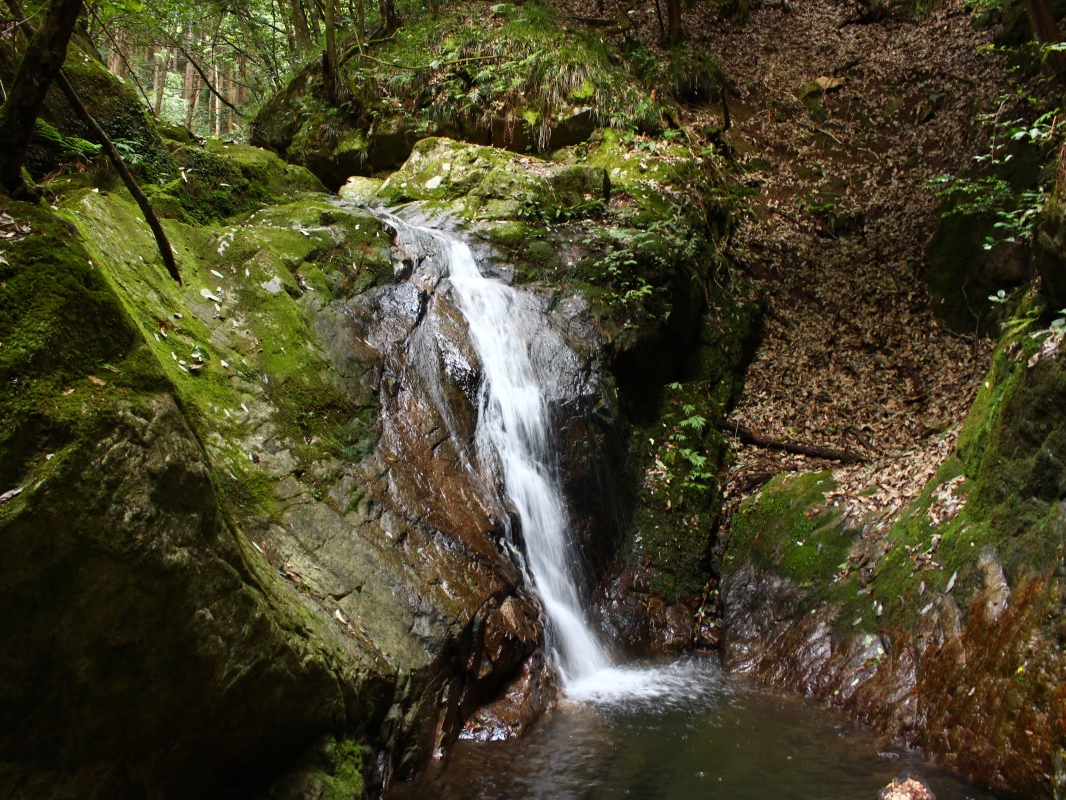 門谷川にある滝