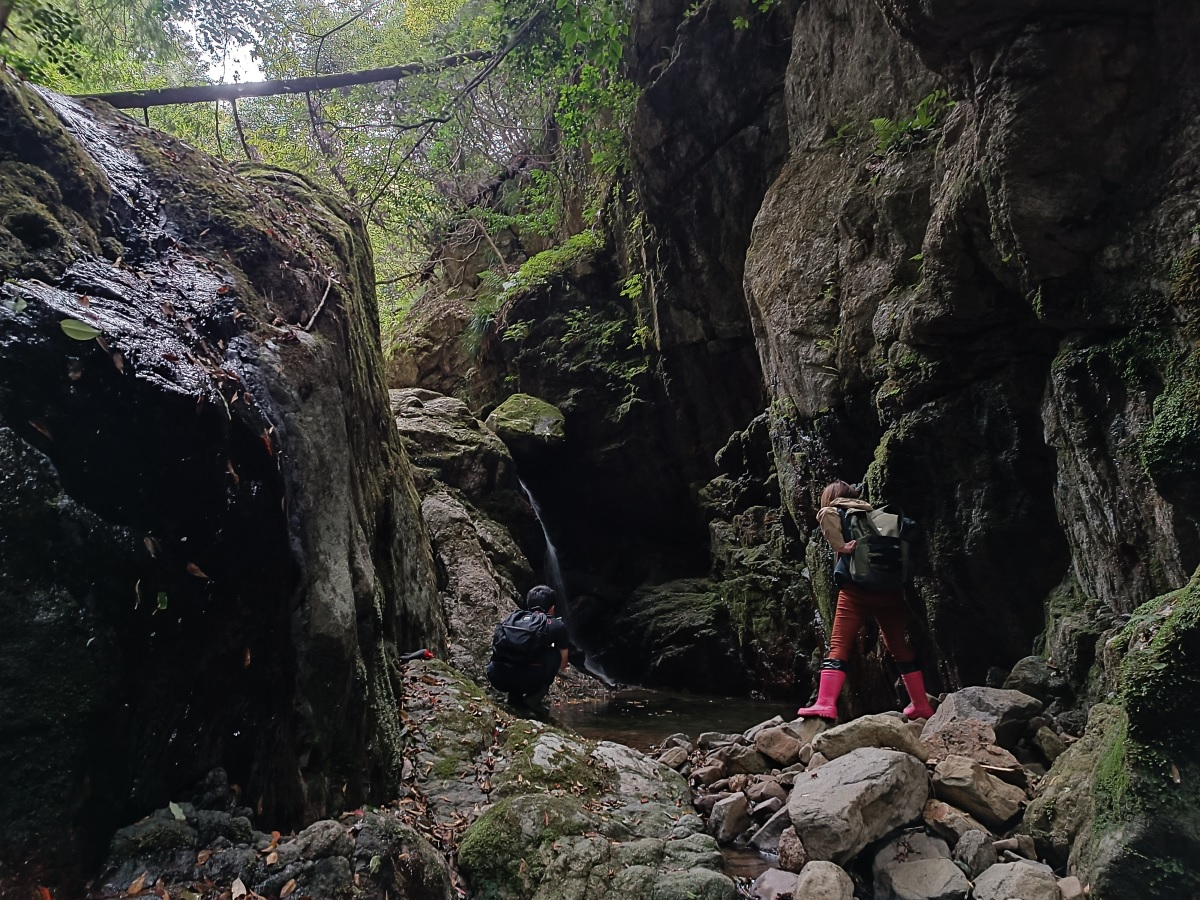 秘境感!!門谷川にある滝