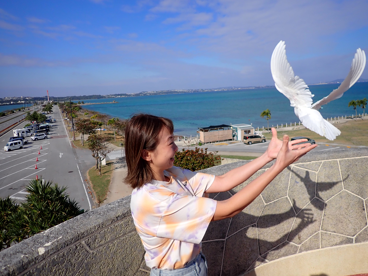 �C���X�^�f���I���C�I����I�K�^�̔������I�����̏ォ��̃����[�X