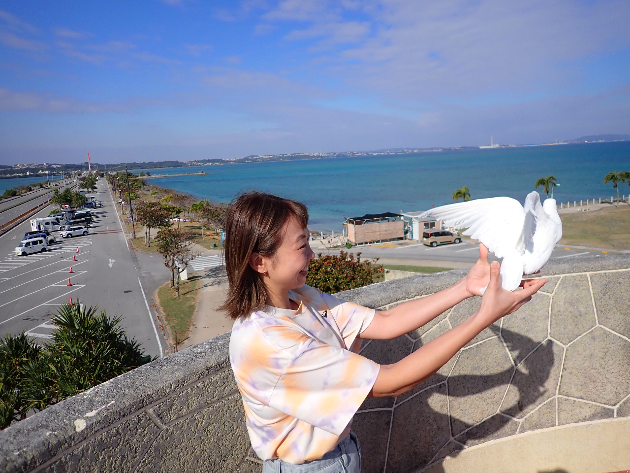 �C���X�^�f���I���C�I����I�K�^�̔������I�����̏ォ��̃����[�X