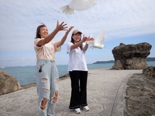 インスタ映え!青い海!青い空!幸運の白い鳩!岬の先端からのリリース