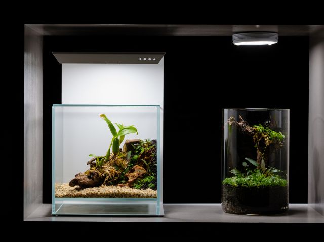 本格的なテラリウムのワークショップも行っています。(1回/月開催。直接予約)